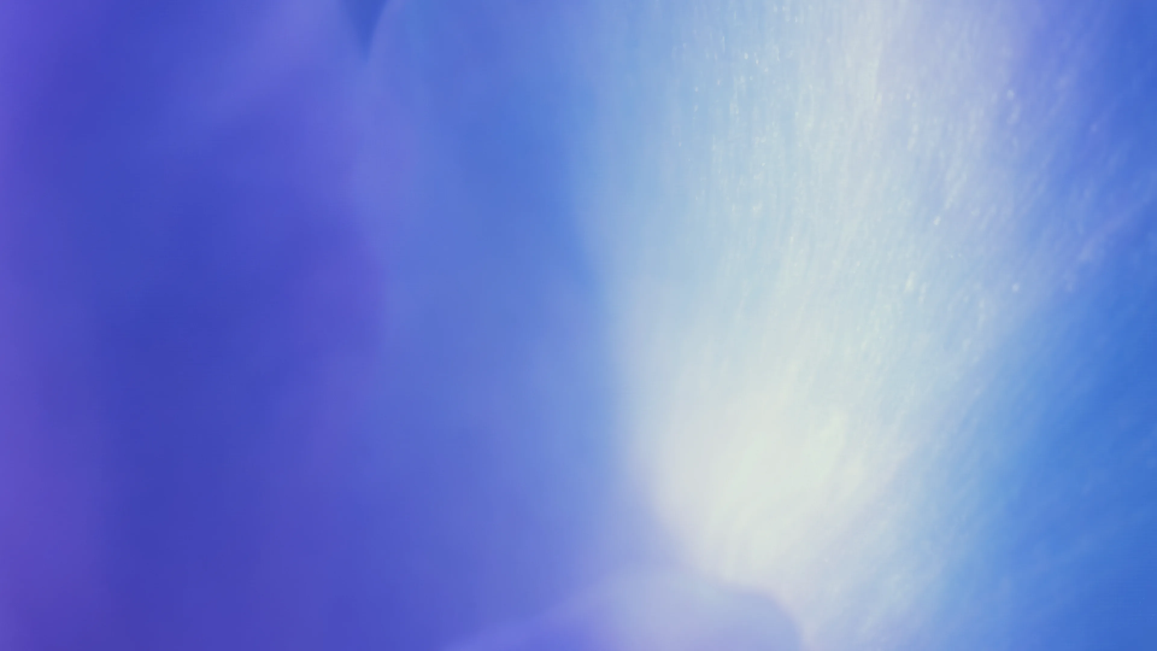 5.3 Codex Spark